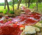Τοπίο με ένα ποτάμι κόκκινο
